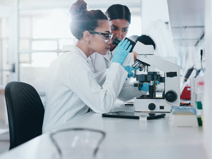 What Is Akkermansia muciniphila? – The Science Behind This Probiotic